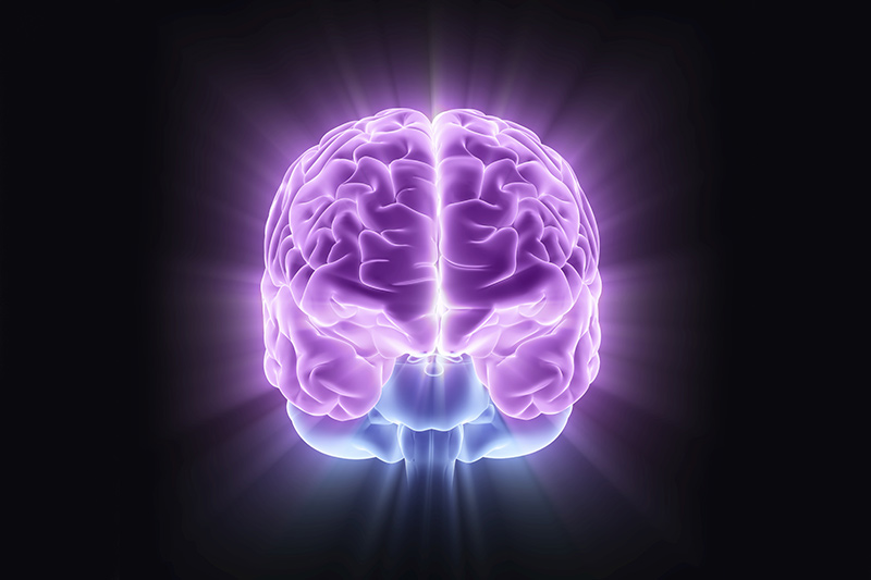 Graphic purple brain